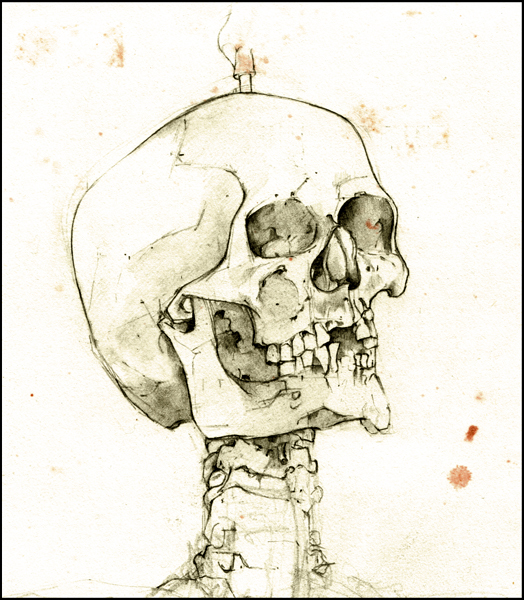 Tuesday February 1st (2011) Skull Drawing width=