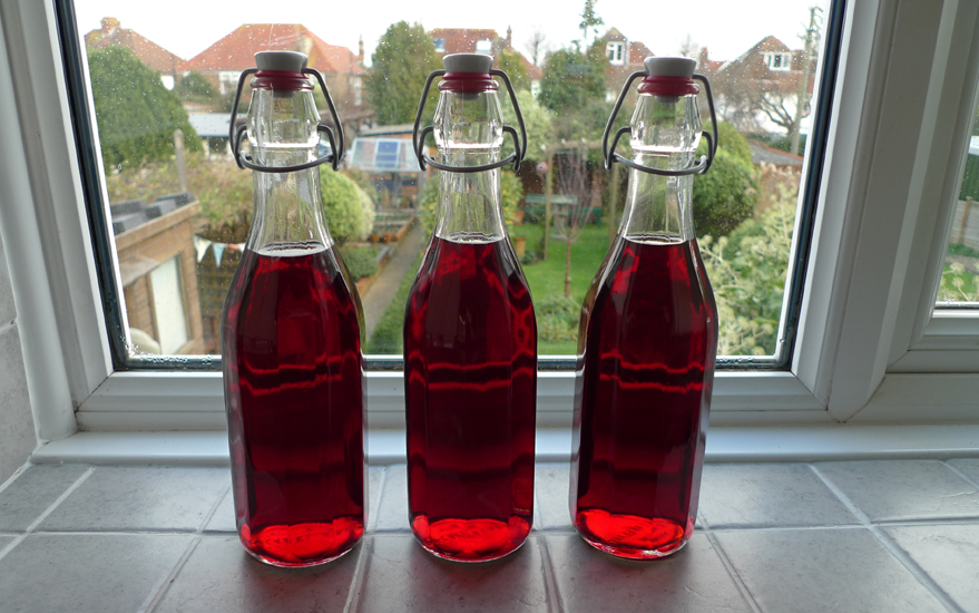 Wednesday December 31st (2014) Sloe Gin. width=