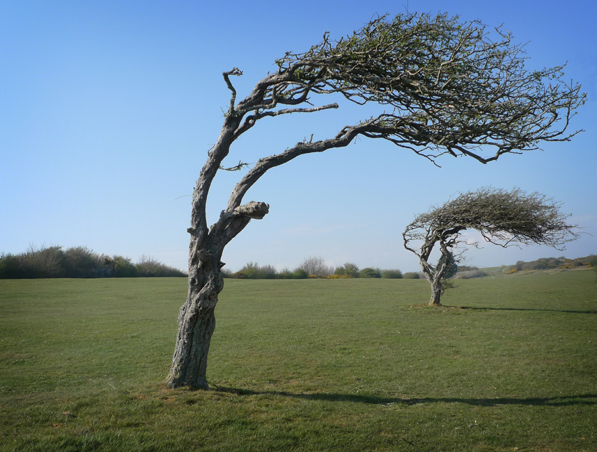 Monday April 13th (2020) Prevailing wind (No.5) width=
