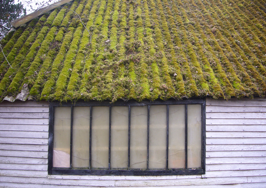 Friday February 13th (2009) Mossy Roof width=
