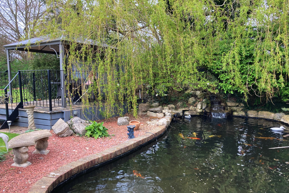 Saturday April 11th (2026) Squirrels Open Garden width=