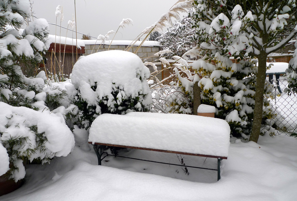 Sunday December 21st (2025) Snow (2nd December 2010) width=