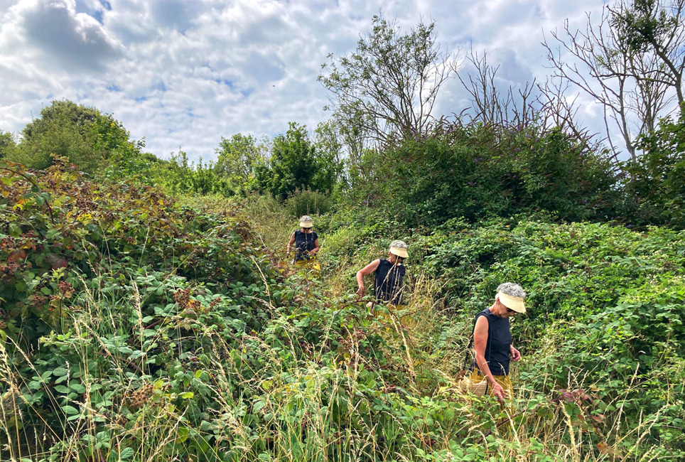 Sunday July 27th (2025) An overgrown path width=