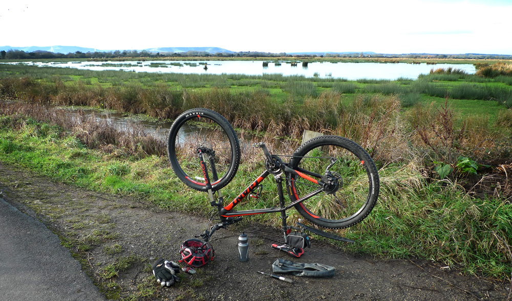 Wednesday December 30th (2020) Punctured on Pevensey Levels. width=