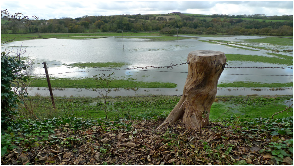 Thursday November 7th (2013) Flooded fields ... width=