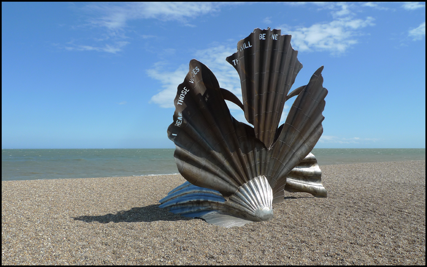 Wednesday July 6th (2011) Scallop (2003) by Maggie Hamblin width=