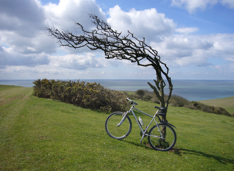 Sunday April 24th (2016) Prevailing wind (No.3) width=