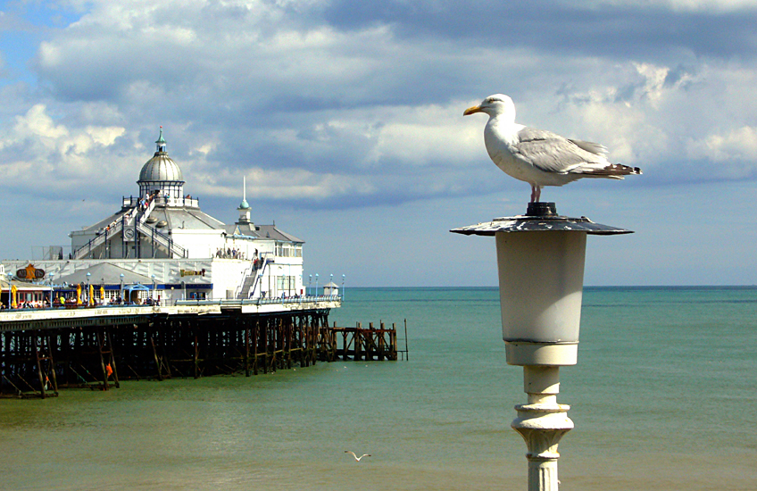 Sunday July 29th (2007) Eastbourne Pier width=