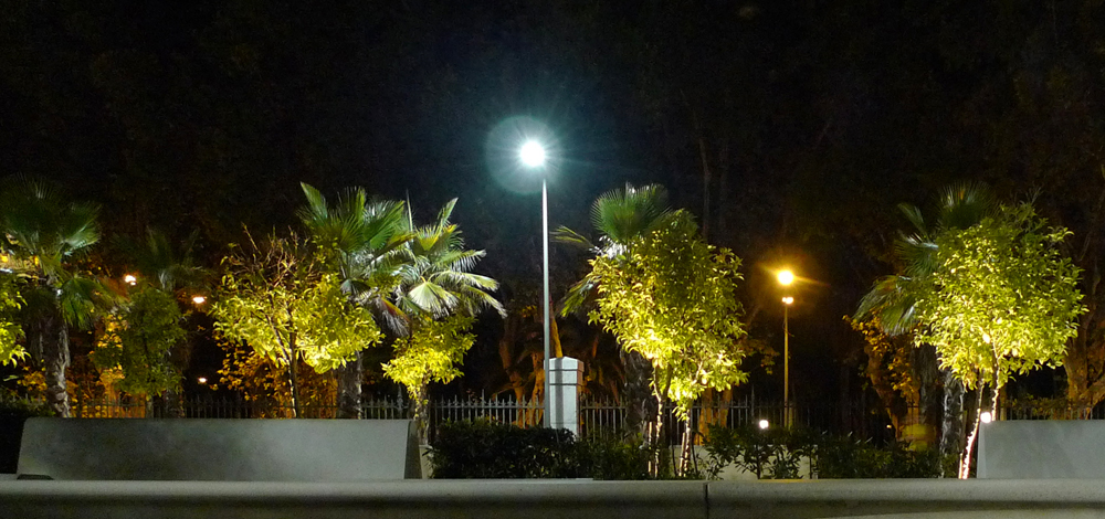 Monday November 3rd (2014) Night lights. width=