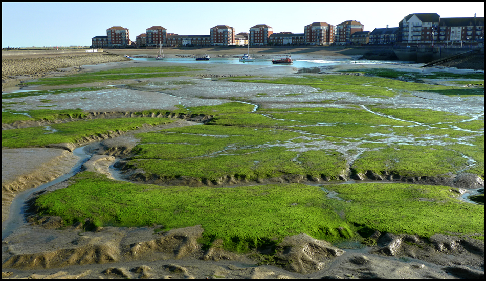 Wednesday July 20th (2011) Low Tide at Sovereign Harbour width=