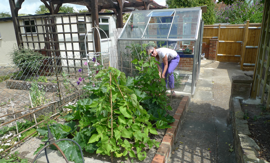 Monday June 30th (2014) The courgettes and beans are doing well Jude. width=