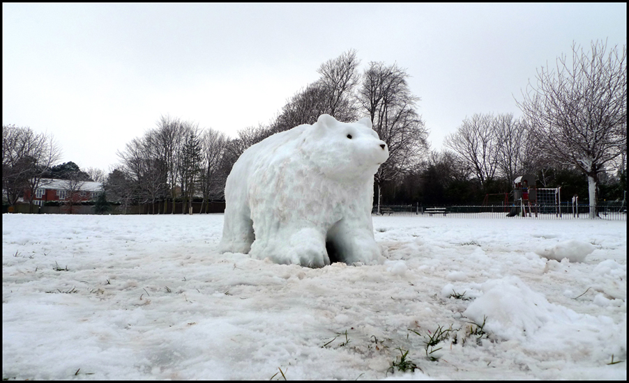 Tuesday February 7th (2012) Polar Bear... width=