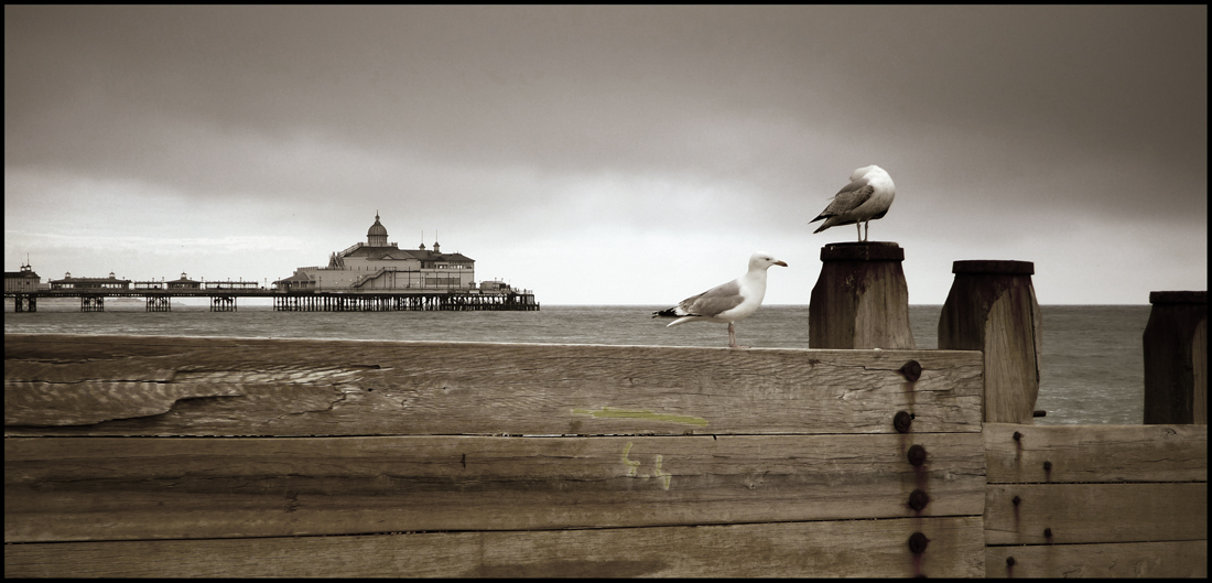 Thursday May 19th (2011) Pier and two gulls. width=