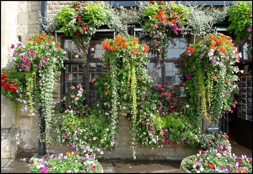 Saturday October 2nd (2010) Hanging Baskets width=