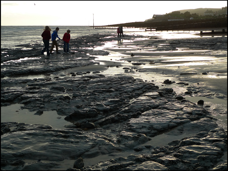 Saturday January 21st (2012) Low tide at sundown width=