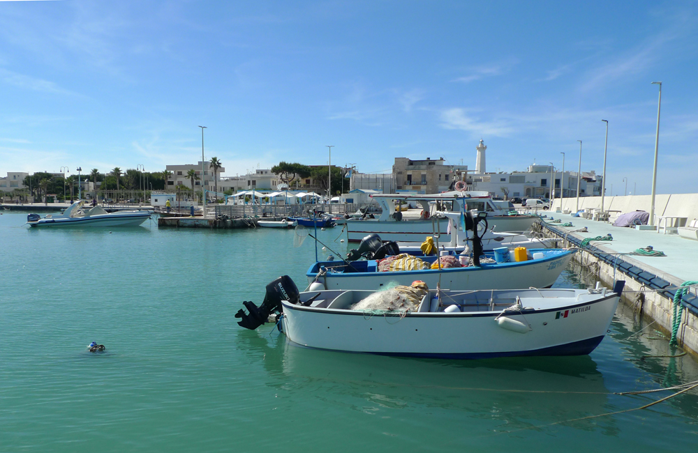 Saturday May 16th (2026) A free day to explore Torre Canne width=