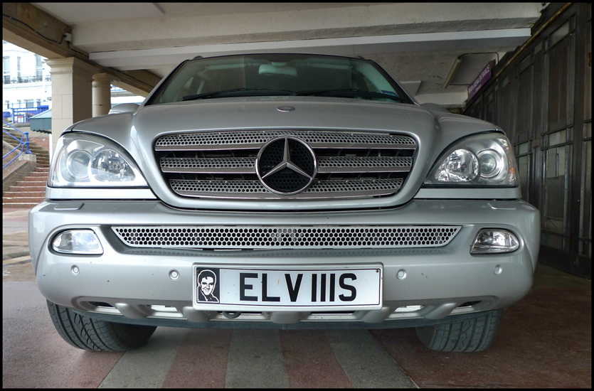 Saturday August 25th (2012) Elvis is in town ... width=