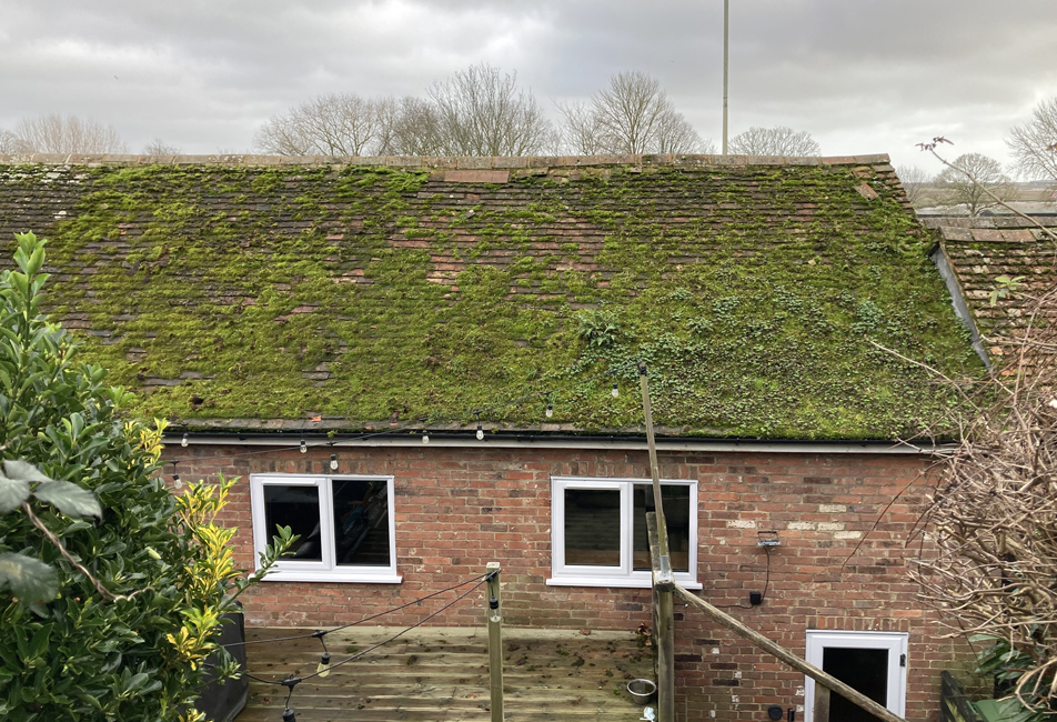 Sunday March 1st (2026) It has been a wet day once again. width=