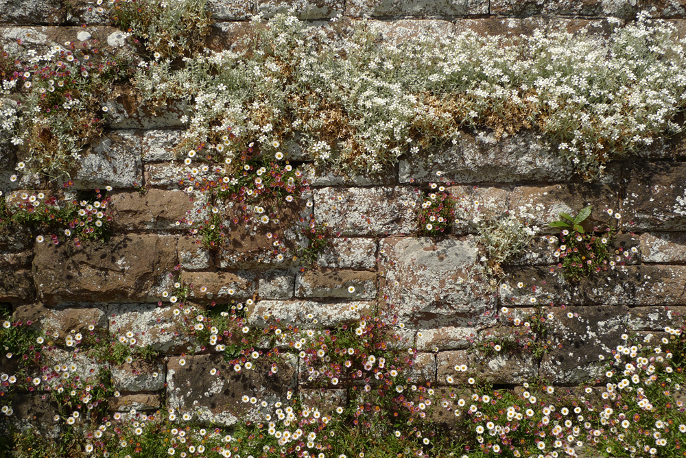 Sunday October 11th (2026) A nice bit of wall width=