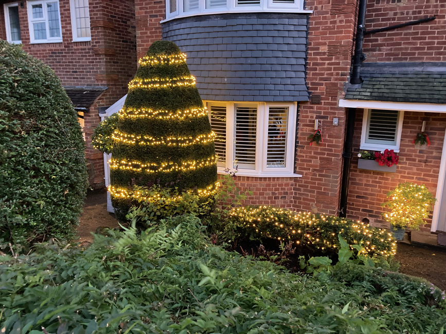 Wednesday December 3rd (2025) Very neat, must have taken some doing!