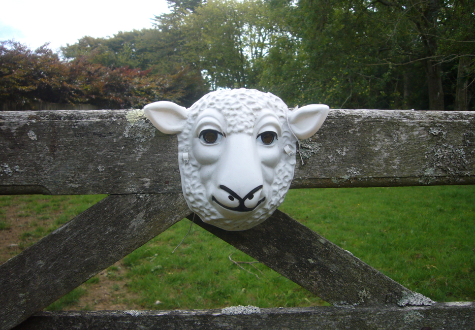 Wednesday August 26th (2020) Sheep mask width=