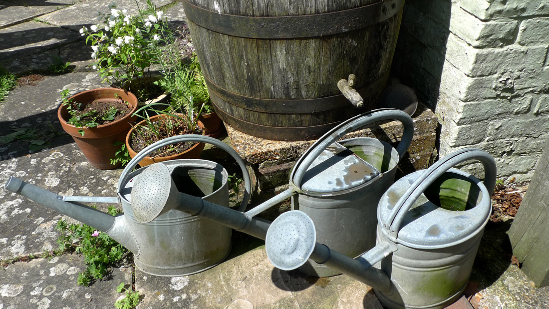 Sunday June 3rd (2018) Watering Cans in an English Country Garden. width=
