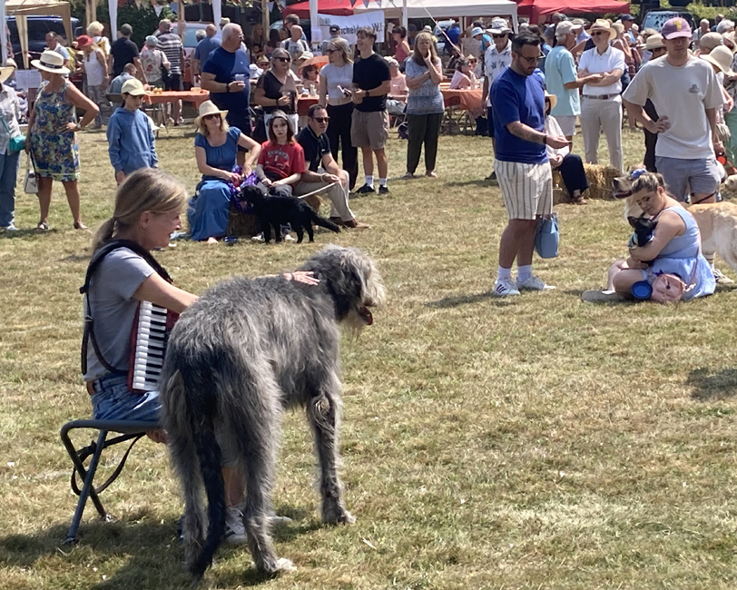 Saturday July 18th (2026) Accordionist with her Irish Wolfhound at the East Dean Fair width=