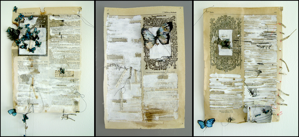 Monday November 20th (2017) Three pages from a Butterfly Book width=