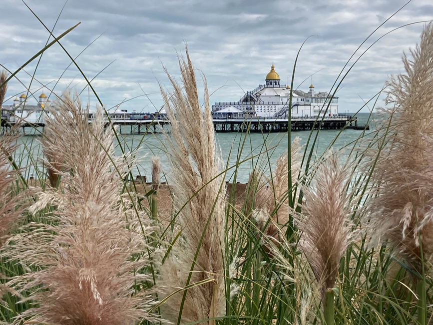 Tuesday October 1st (2024) Eastbourne Pier width=