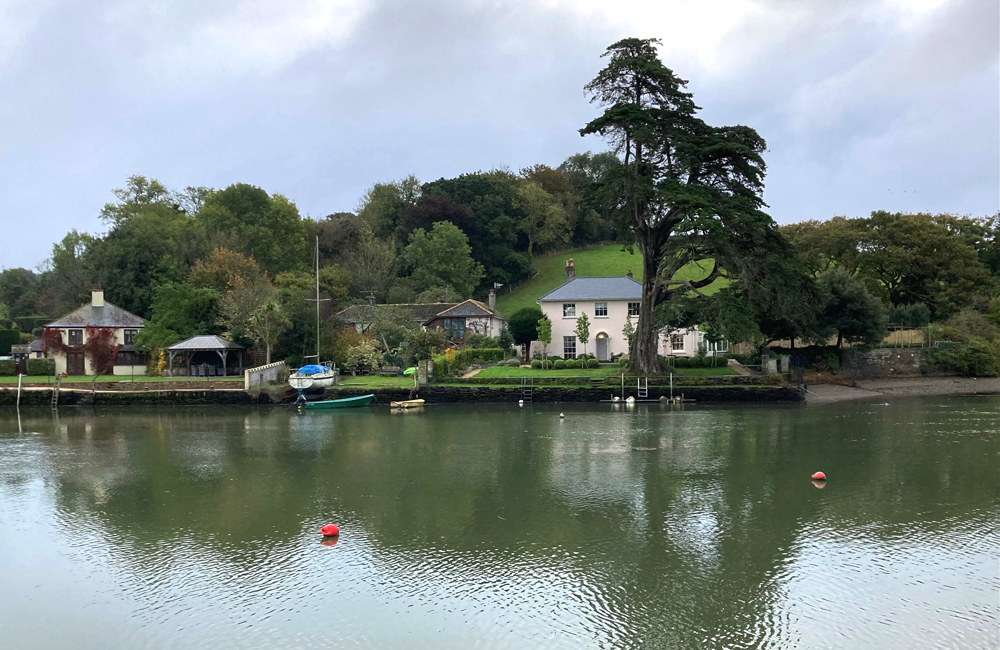 Wednesday October 16th (2024) Kingsbridge Estuary width=