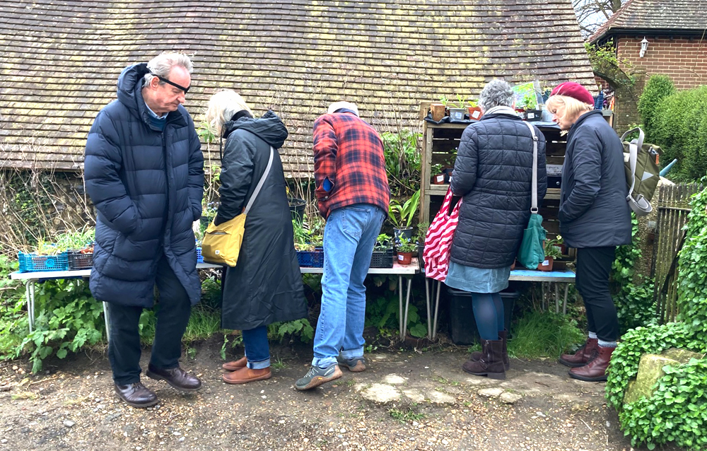 Friday April 3rd (2026) Weeds for sale width=