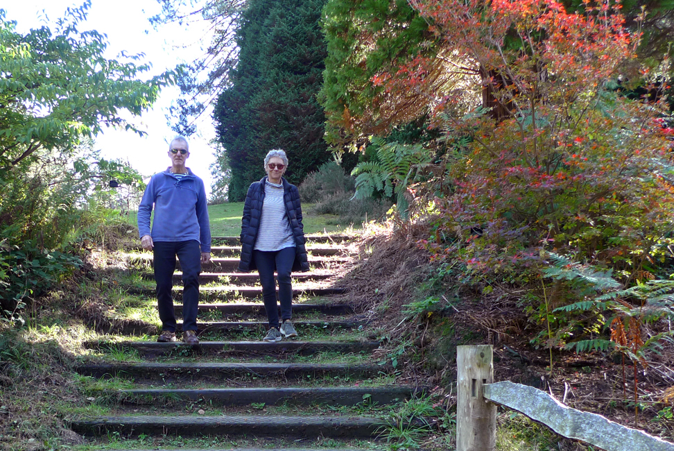 Wednesday October 7th (2020) Steps at Bedgebury Pinetum width=