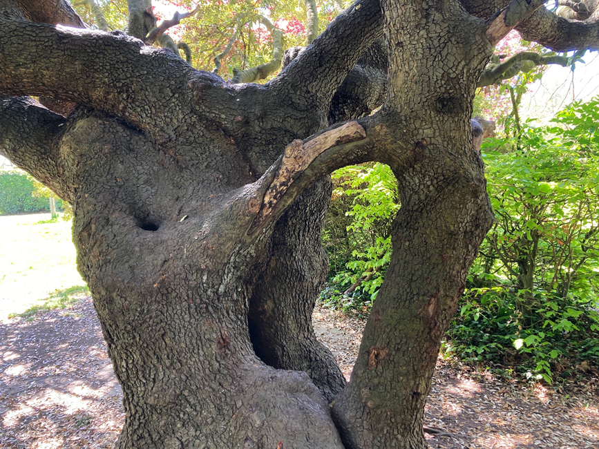 Tuesday April 28th (2026) Growth width=