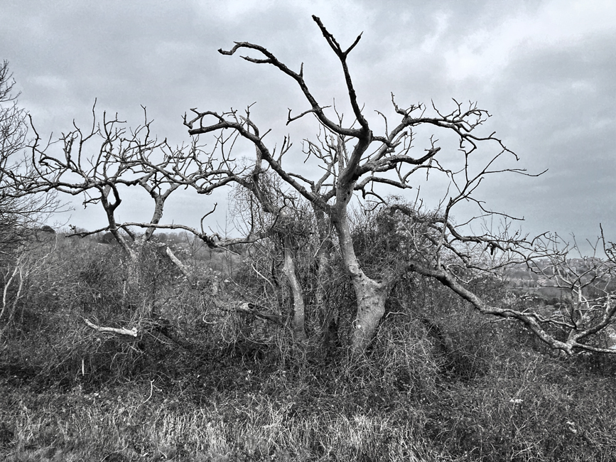 Sunday December 28th (2025)&nbsp;A long walk today