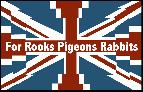02: Rooks Pigeons Rabbits