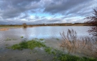 06: Another view of the flooding