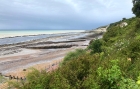 07: Very low tide ....