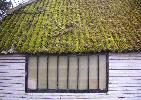 13: Mossy Roof