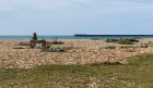 Tide Mills, Seaford