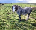 Alone on the South Downs