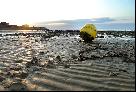 22: Sunset, low tide and yellow buoy