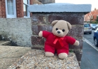 Lost Teddy