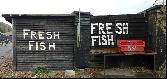 01: FRESH FISH, FRE SH FiSH