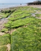 The tide is right out ...