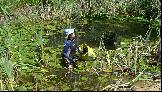28: Elizabeth is clearing weed from her pond