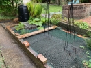 Vegetable patch protected