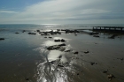 12: Low tide at Bexhill-on-Sea