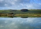 A perfect reflection