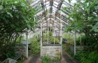 29: Greenhouse
