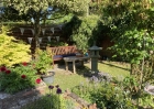 May is always a good month in the garden